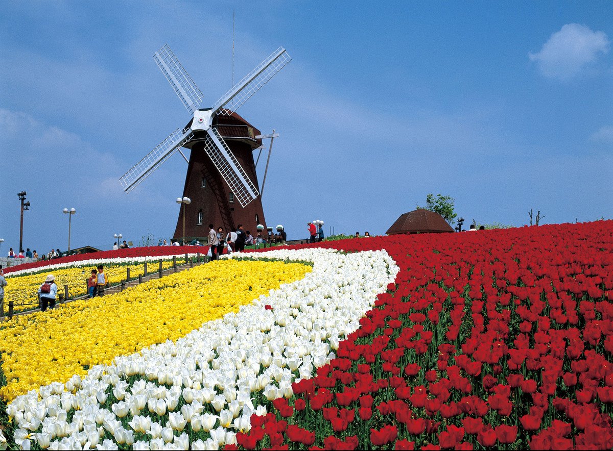 🌸 오사카부립 꽃의 문화원(오사카후리츠 하나노분카엔) 이미지 5